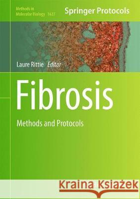 Fibrosis: Methods and Protocols Rittié, Laure 9781493971121 Humana Press - książka