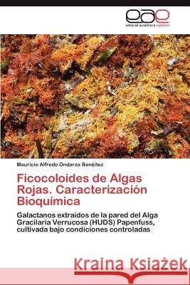 Ficocoloides de Algas Rojas. Caracterizacion Bioquimica Mauricio Alfredo Ondarz 9783659014017 Editorial Acad Mica Espa Ola - książka