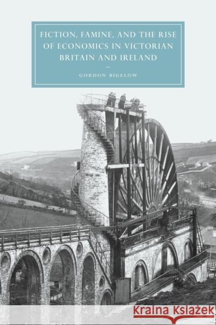 Fiction, Famine, and the Rise of Economics in Victorian Britain and Ireland Gordon Bigelow 9780521035538 Cambridge University Press - książka
