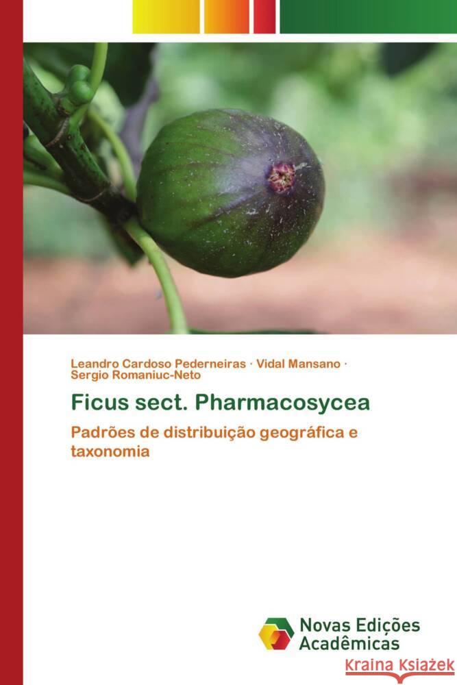 Ficus sect. Pharmacosycea Cardoso Pederneiras, Leandro, Mansano, Vidal, Romaniuc-Neto, Sergio 9786139801688 Novas Edicioes Academicas - książka