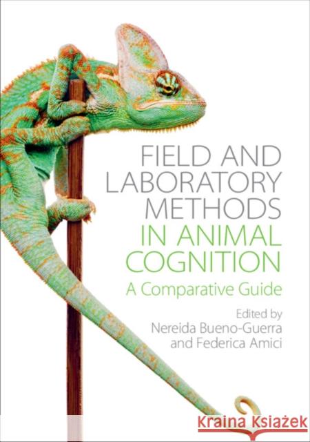 Field and Laboratory Methods in Animal Cognition: A Comparative Guide Nereida Bueno-Guerra Federica Amici 9781108413947 Cambridge University Press - książka
