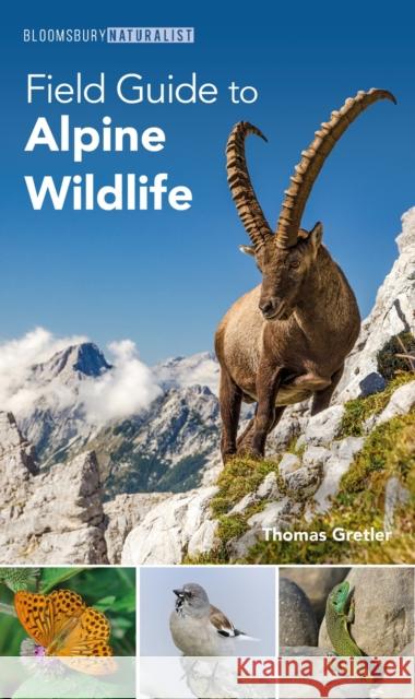Field Guide to Alpine Wildlife Thomas Gretler 9781399409414 Bloomsbury Publishing PLC - książka