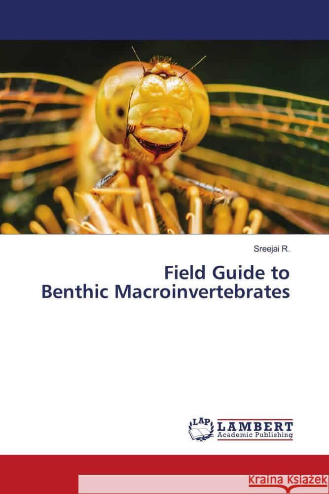 Field Guide to Benthic Macroinvertebrates R., Sreejai 9786205494479 LAP Lambert Academic Publishing - książka