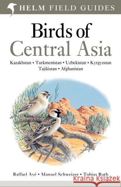 Field Guide to Birds of Central Asia Manuel Schweizer 9780713670387 Bloomsbury Publishing PLC - książka
