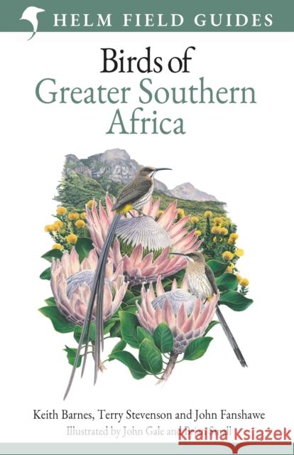 Field Guide to Birds of Greater Southern Africa Keith Barnes 9781472912374 Bloomsbury Publishing PLC - książka