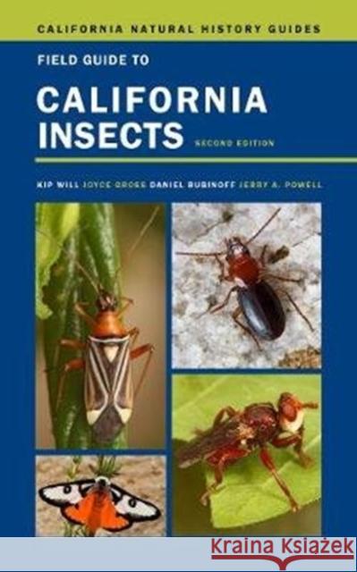 Field Guide to California Insects: Second Editionvolume 111 Will, Kip 9780520288737 University of California Press - książka