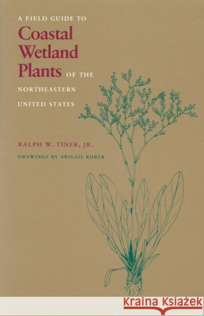 Field Guide to Coastal Wetland Plants of the Northeastern United States Ralph W. Tiner Abigail Rorer 9780870235382 University of Massachusetts Press - książka