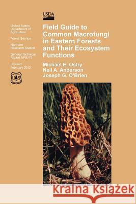 Field Guide to Common Macrofungi in Eastern Forests and Their Ecosystem Function Michael E. Ostry 9781782662075 WWW.Militarybookshop.Co.UK - książka