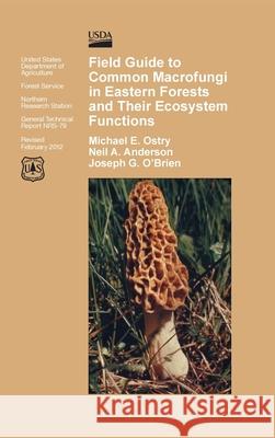 Field Guide to Common Macrofungi in Eastern Forests and Their Ecosystem Function Michael E Ostry 9781839310300 www.Militarybookshop.Co.UK - książka