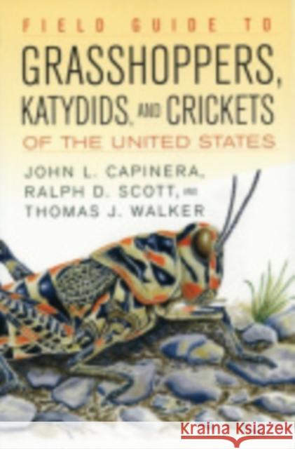 Field Guide to Grasshoppers, Katydids, and Crickets of the United States John Capinera 9780801442605 Comstock Book - książka