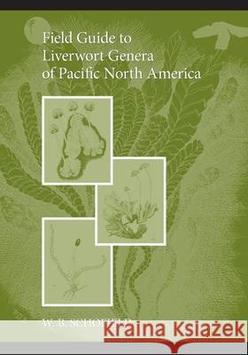 Field Guide to Liverwort Genera of Pacific North America W. B. Schofield 9780295981949 Global Forest Society in Association with Uni - książka