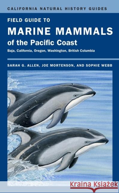 Field Guide to Marine Mammals of the Pacific Coast: Volume 100 Allen, Sarah G. 9780520265455  - książka
