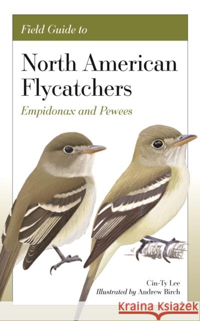 Field Guide to North American Flycatchers: Empidonax and Pewees Andrew Birch 9780691240626 Princeton University Press - książka