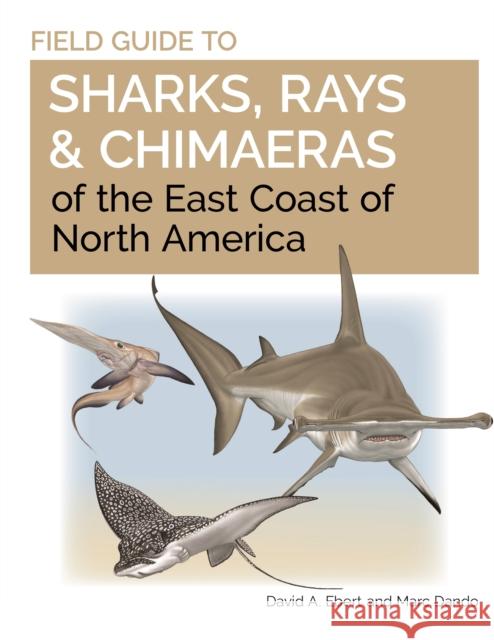 Field Guide to Sharks, Rays and Chimaeras of the East Coast of North America David A. Ebert 9780691206387 Princeton University Press - książka