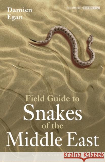 Field Guide to Snakes of the Middle East Damien Egan 9781472987327 Bloomsbury Publishing PLC - książka