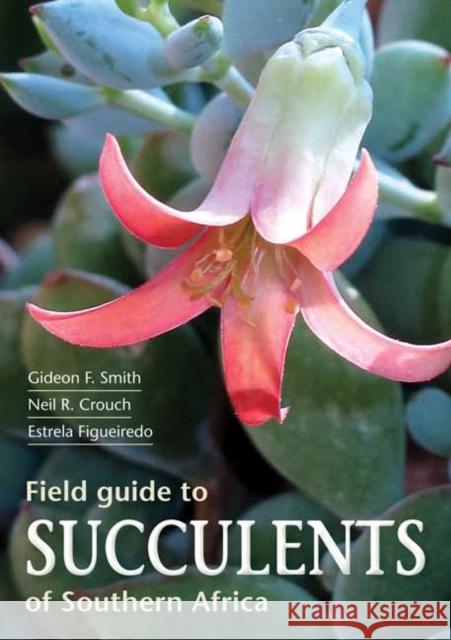 Field Guide to Succulents of Southern Africa Gideon Smith 9781775843672 Penguin Random House South Africa - książka