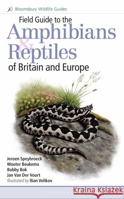 Field Guide to the Amphibians and Reptiles of Britain and Europe Jan Van Der Voort 9781472970428 Bloomsbury Publishing PLC - książka