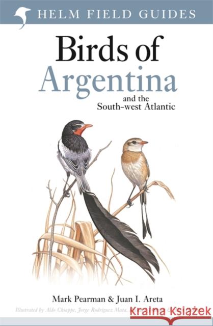Field Guide to the Birds of Argentina and the Southwest Atlantic Juan Ignacio Areta 9781472984326 Bloomsbury Publishing PLC - książka