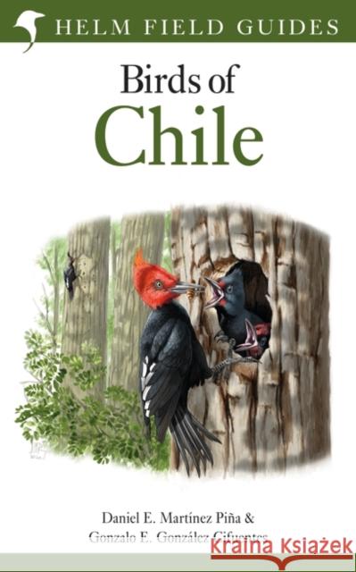 Field Guide to the Birds of Chile Pi Gonzalo E. Gonz 9781472970008 Bloomsbury Publishing PLC - książka