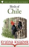 Field Guide to the Birds of Chile Gonzalo E. Gonzalez Cifuentes 9781472987426 Bloomsbury Publishing PLC
