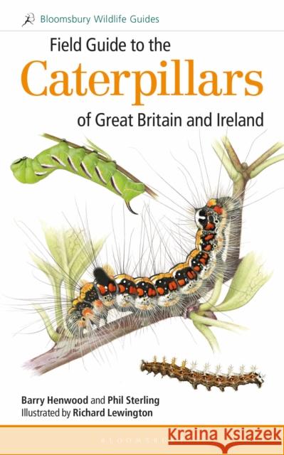 Field Guide to the Caterpillars of Great Britain and Ireland Phil Sterling Barry Henwood Richard Lewington 9781472933560 Bloomsbury Wildlife - książka