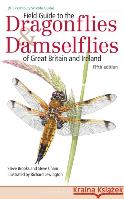 Field Guide to the Dragonflies and Damselflies of Great Britain and Ireland Steve Brooks Steve Cham Richard Lewington 9781472964533 Bloomsbury Wildlife - książka