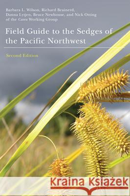 Field Guide to the Sedges of the Pacific Northwest Barbara L. Wilson 9780870717284 Oregon State University Press - książka