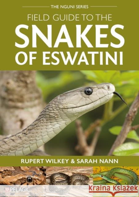 Field Guide to the Snakes of Eswatini Sarah Nann 9781784275457 Pelagic Publishing - książka