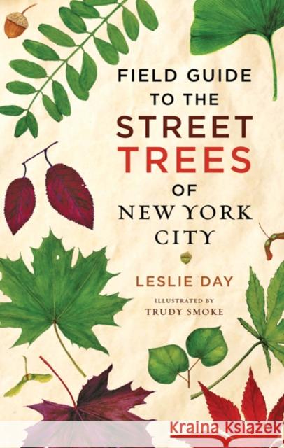 Field Guide to the Street Trees of New York City Leslie Day Trudy Smoke 9781421401515 Johns Hopkins University Press - książka