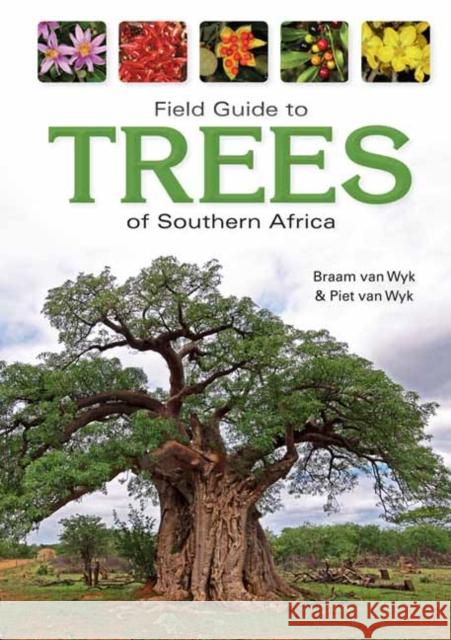 Field Guide to Trees of Southern Africa Braam van Wyk 9781770079113 Penguin Random House South Africa - książka