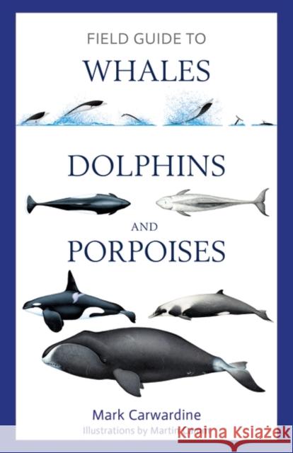Field Guide to Whales, Dolphins and Porpoises Mark Carwardine 9781472969972 Bloomsbury Publishing PLC - książka