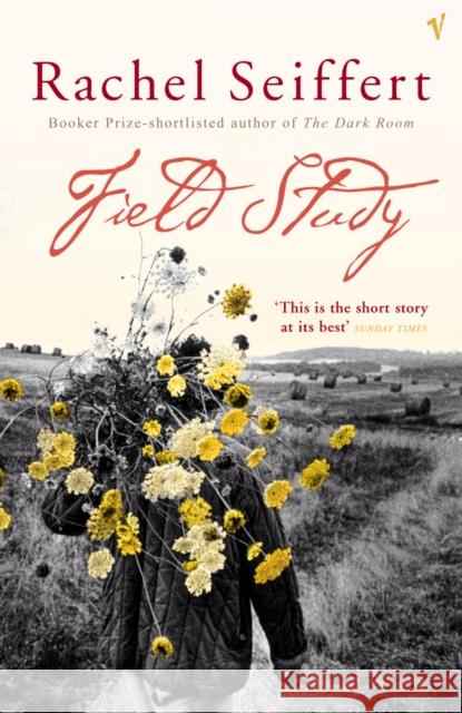 Field Study. Feldstudien, englische Ausgabe Rachel Seiffert 9780099461784 VINTAGE - książka