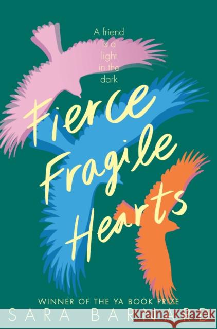 Fierce Fragile Hearts Sara Barnard   9781529037616 Pan Macmillan - książka