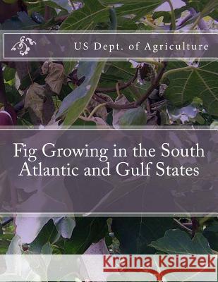 Fig Growing in the South Atlantic and Gulf States Us Dept of Agriculture Roger Chambers 9781985074675 Createspace Independent Publishing Platform - książka