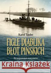 Figle diablika błot pińskich Karol Taube 9788366715615 Miles - książka