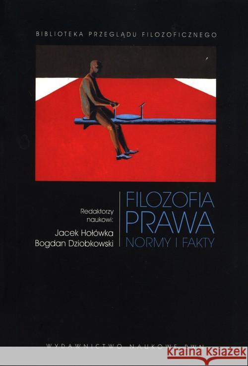 Filozofia prawa  9788301215149 Wydawnictwo Naukowe PWN - książka