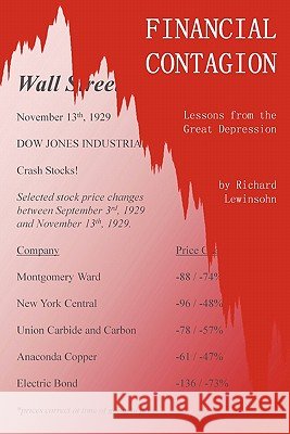 Financial Contagion: Lessons from the Great Depression Richard Lewinsohn-Morus 9781446136423 Lulu.com - książka