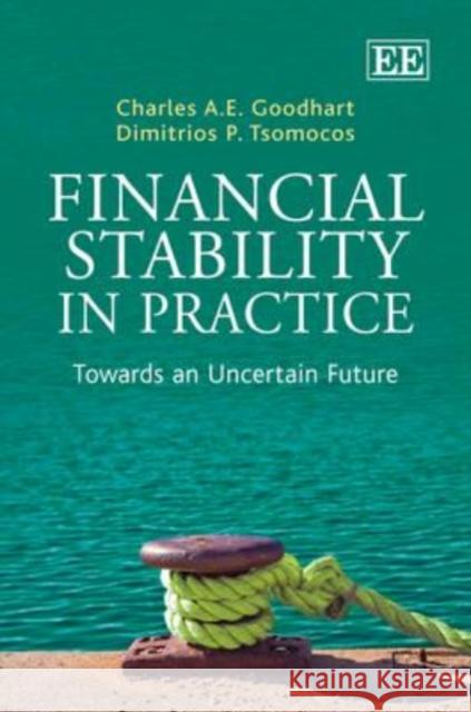 Financial stability in practice: towards an uncertain future  9781847208934  - książka