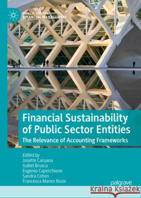 Financial Sustainability of Public Sector Entities: The Relevance of Accounting Frameworks Caruana, Josette 9783030060367 Palgrave MacMillan - książka