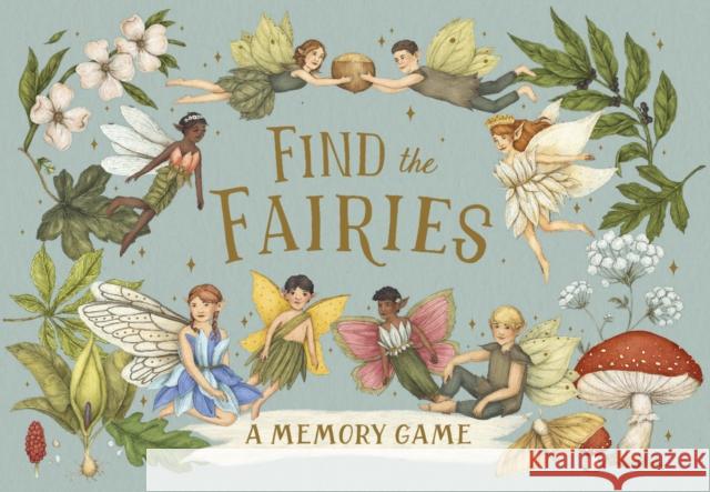 Find the Fairies Emily Hawkins 9780711287877 Frances Lincoln Publishers Ltd - książka