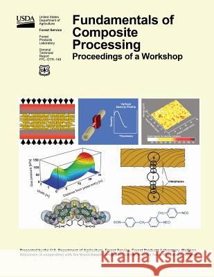 Findamentals of Composite Processing: Proceedings of a Workshop United States Department of Agriculture 9781508427186 Createspace - książka