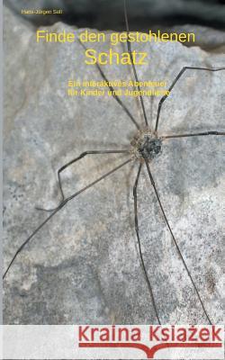 Finde den gestohlenen Schatz: Ein interaktives Abenteuer für Kinder und Jugendliche Hans-Jürgen Soll 9783748166801 Books on Demand - książka