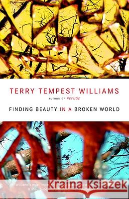 Finding Beauty in a Broken World Terry Tempest Williams 9780375725197 Vintage Books USA - książka