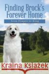 Finding Brock's Forever Home: from Pauper to King Jennifer Talbot Ross 9781496130891 Createspace Independent Publishing Platform