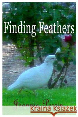 Finding Feathers Jeannie Perrin 9781986915847 Createspace Independent Publishing Platform - książka
