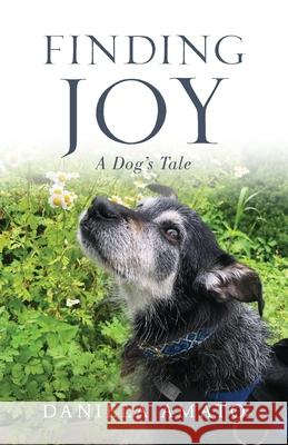 Finding Joy: A Dog's Tale Daniela Amato 9781947360723 Illumify Media Global - książka
