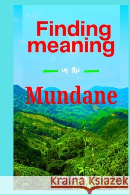 Finding Meaning in the Mundane Sam Mitch 9798327868533 Independently Published - książka