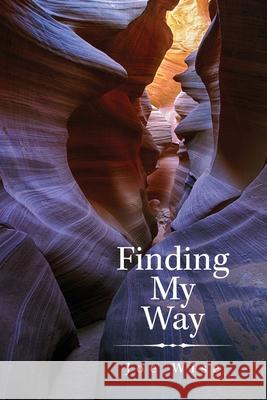 Finding My Way Joe Wise 9781982267551 Balboa Press - książka