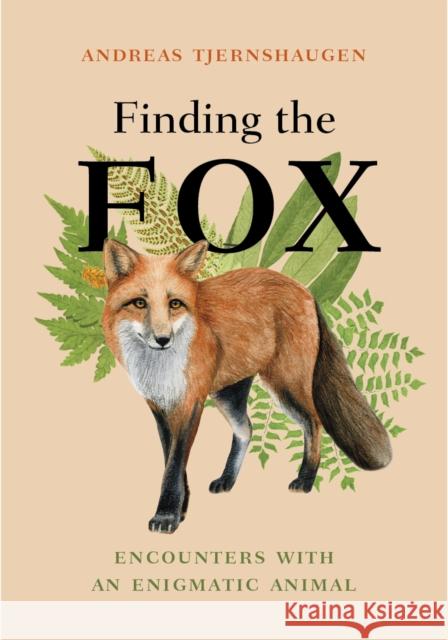 Finding the Fox: Encounters With an Enigmatic Animal Andreas Tjernshaugen 9781778400728 Greystone Books - książka