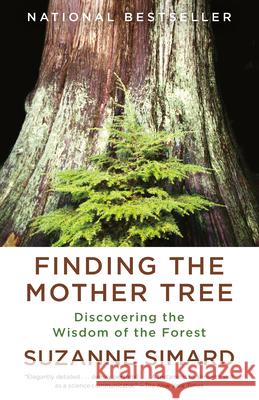 Finding the Mother Tree: Discovering the Wisdom of the Forest Suzanne Simard 9780525565994 Vintage - książka